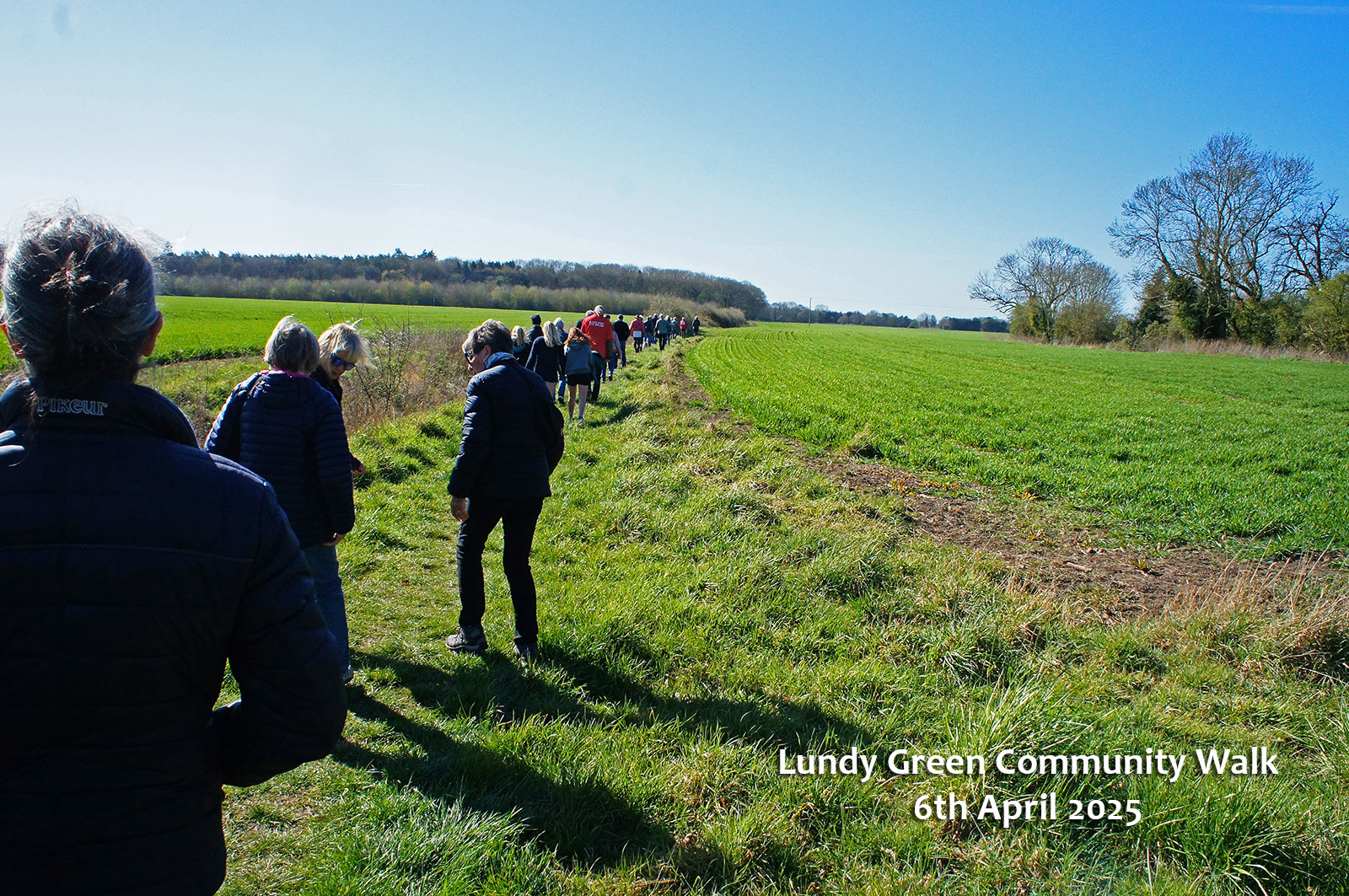 South Norfolk countryside